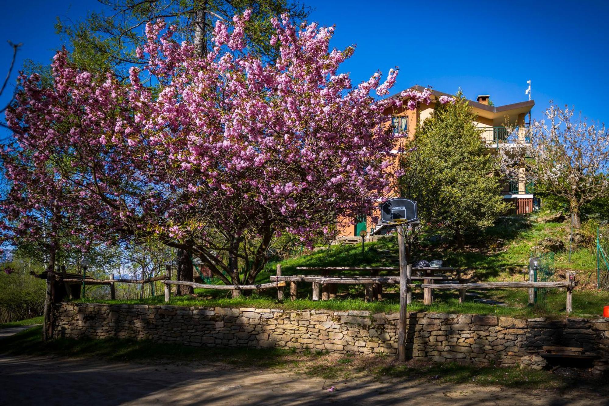 B&B Pian Savin Giaveno Zewnętrze zdjęcie